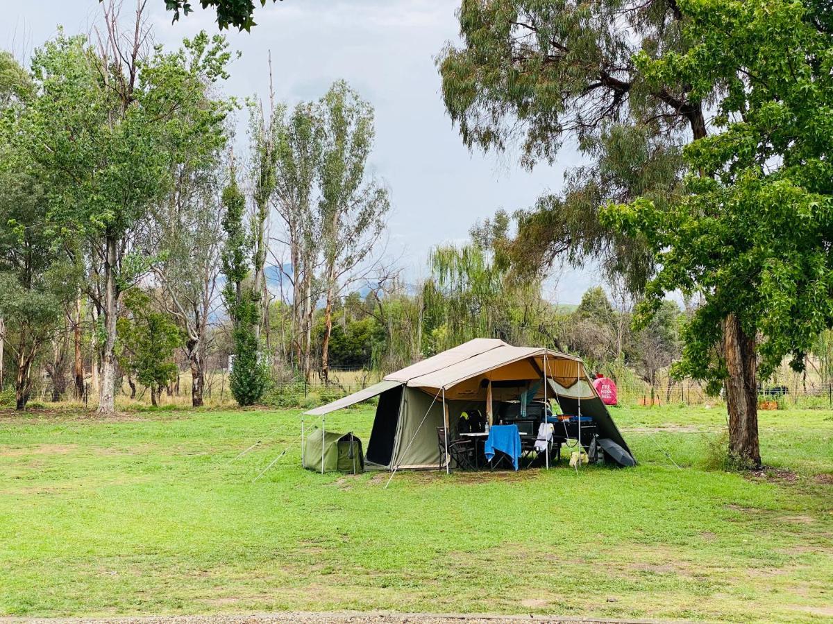 Corryong Caravan Park Formally Mt Mittamatite Caravan Park Экстерьер фото